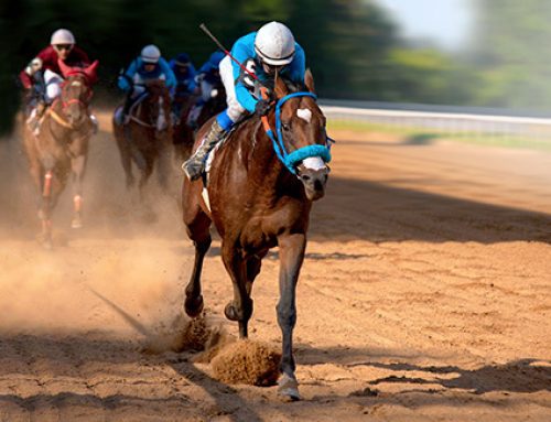 The Kentucky Derby Experience Through the Eyes of a Millionaire