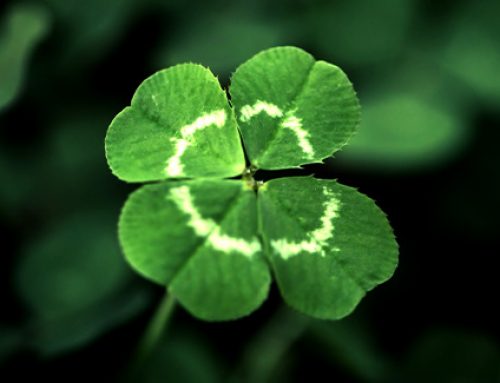 Icons of Irish and Springtime Luck: Attract Fortune This Saint Patrick’s Day