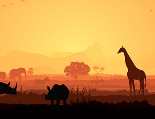 Dreaming of Warm Destinations? Mega Millions Could Take You There