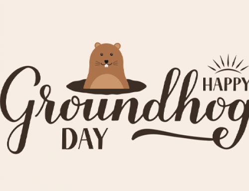 Groundhog Day Lottery Tips: How Consistency Can Pay Off
