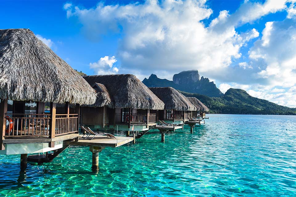 WEB IMG Interior_ World Nature Day Explore the World on World Nature Day