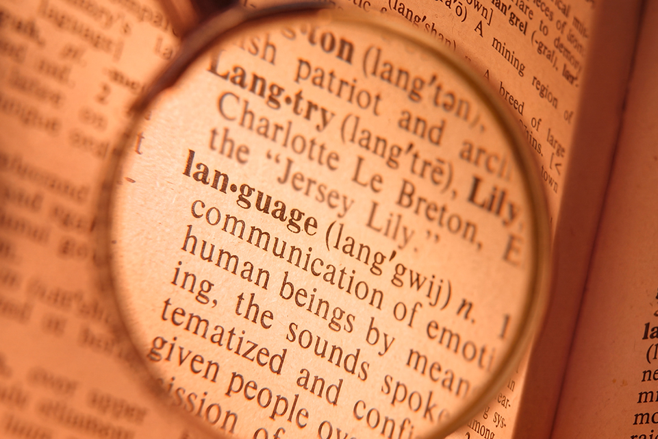 Image of a Dictionary for explaining lottery in Dictionary Day